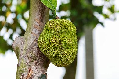 守护最后的人类少女《真空饲育箱2》DEMO发布